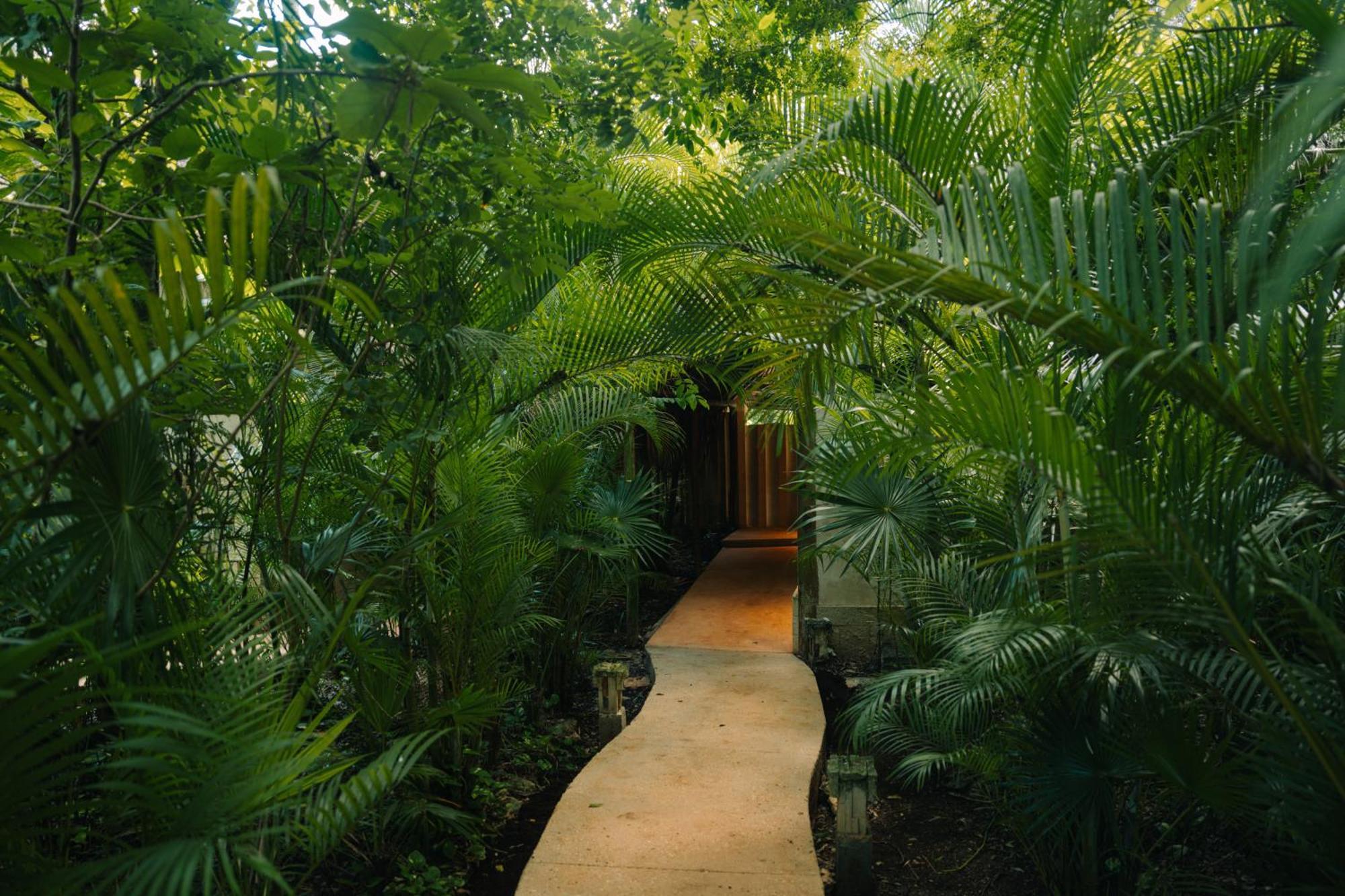Hotel Aldea Coba An Escape Boutique Experience Esterno foto