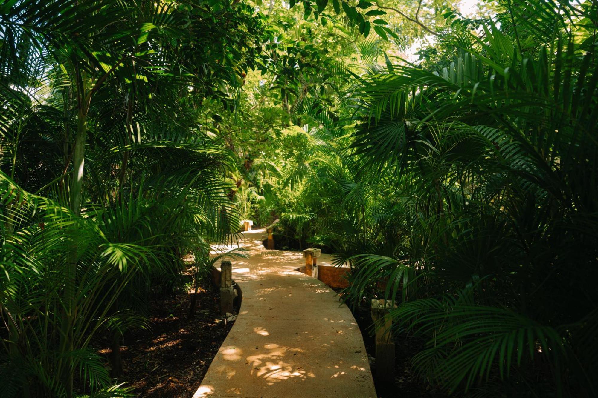 Hotel Aldea Coba An Escape Boutique Experience Esterno foto