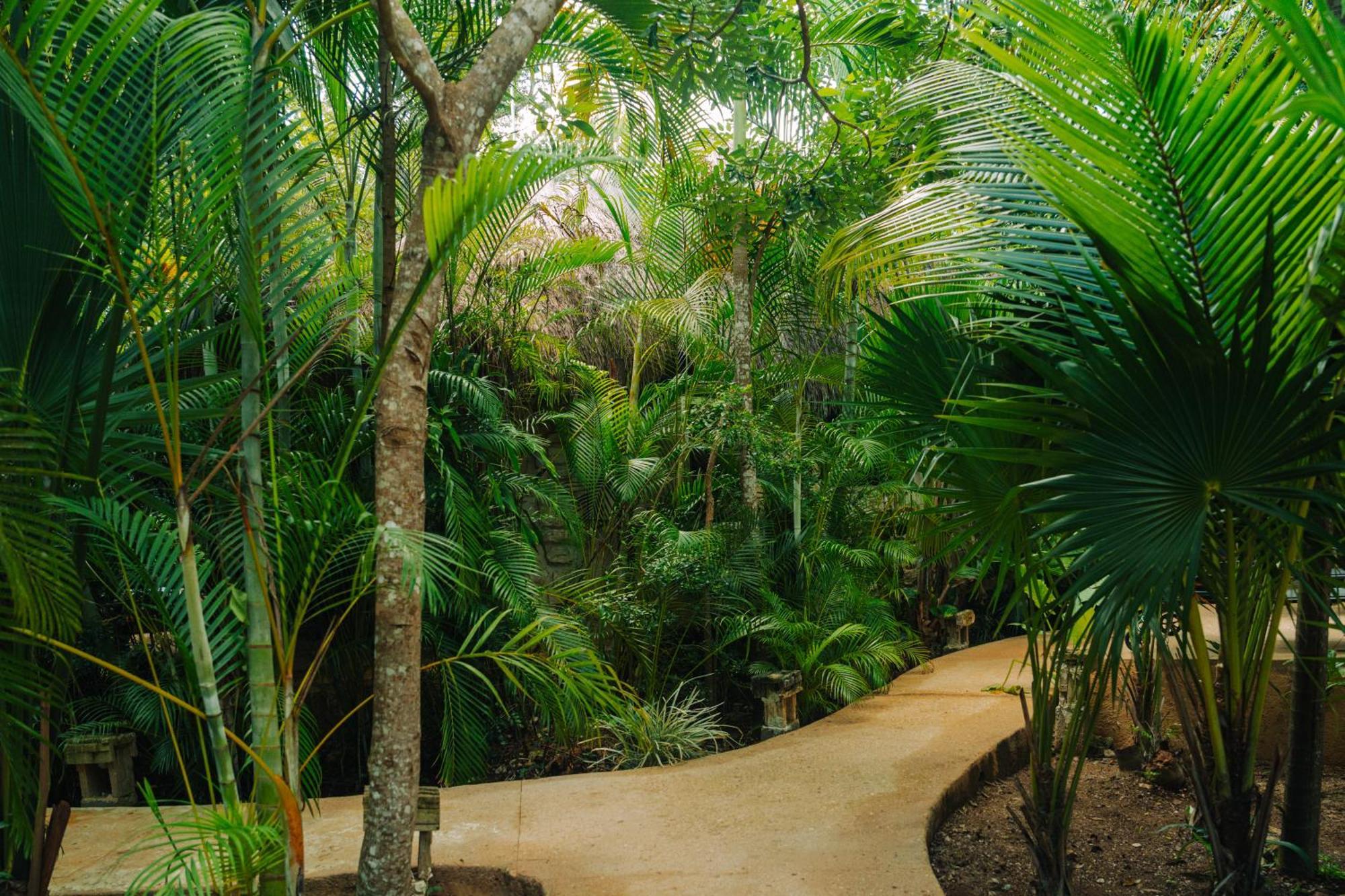 Hotel Aldea Coba An Escape Boutique Experience Camera foto
